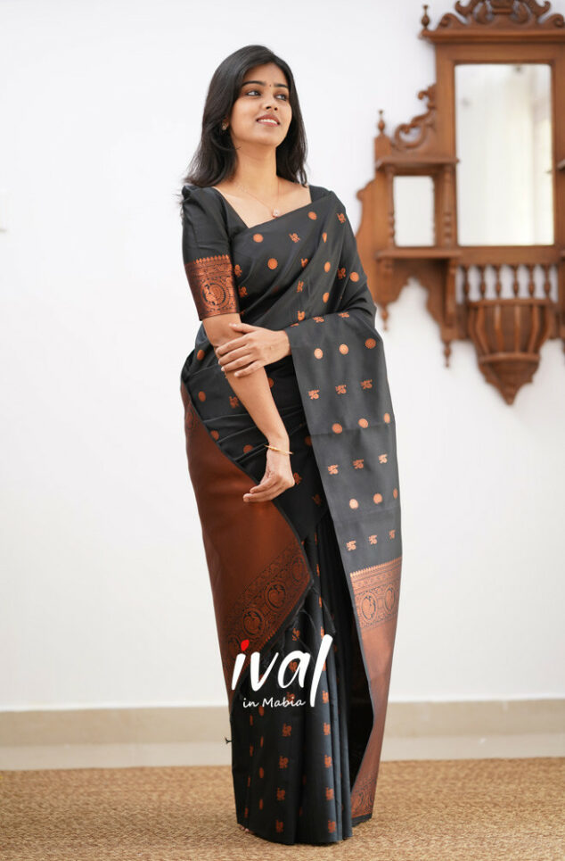 Elegant Black Kanjivaram Saree with Matching Border – Perfect Festive Wear Choice