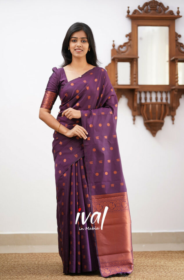 Elegant Purple Kanjivaram Saree with Matching Border – Perfect Festive Wear Choice