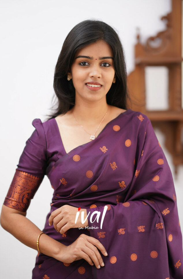 Elegant Purple Kanjivaram Saree with Matching Border – Perfect Festive Wear Choice