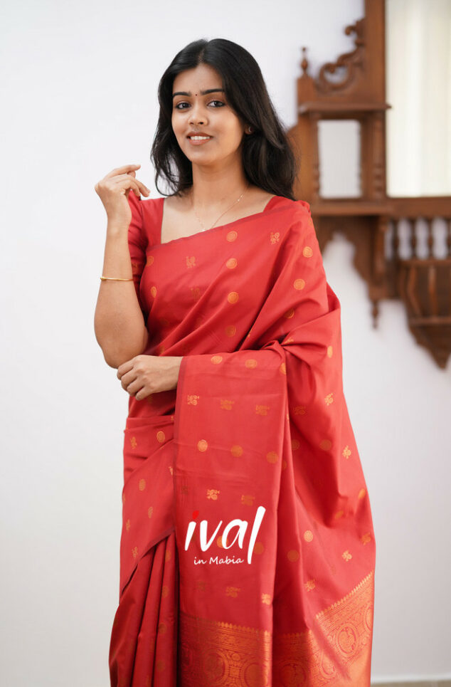 Elegant Red Kanjivaram Saree with Matching Border – Perfect Festive Wear Choice