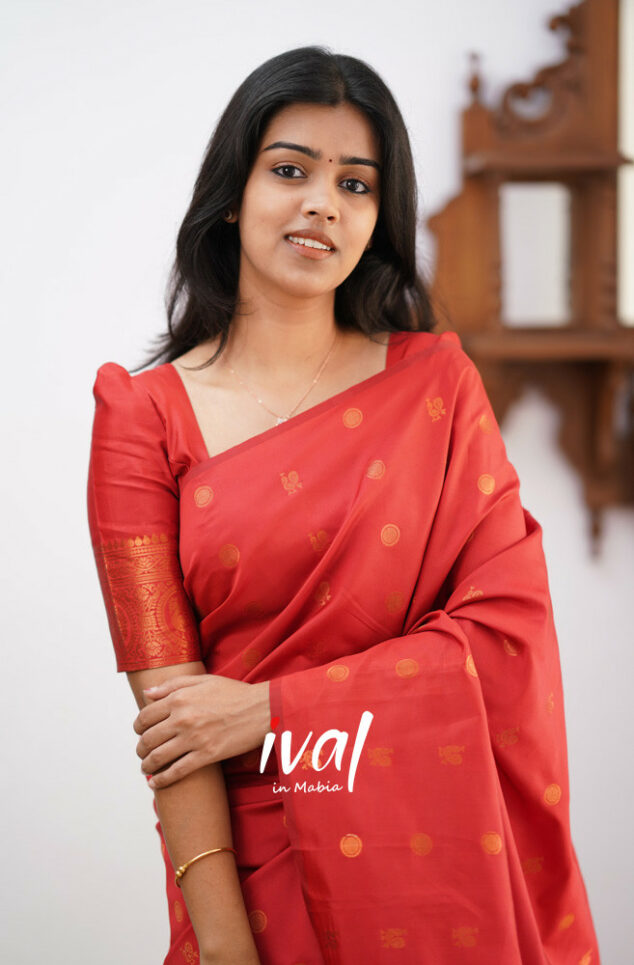 Elegant Red Kanjivaram Saree with Matching Border – Perfect Festive Wear Choice