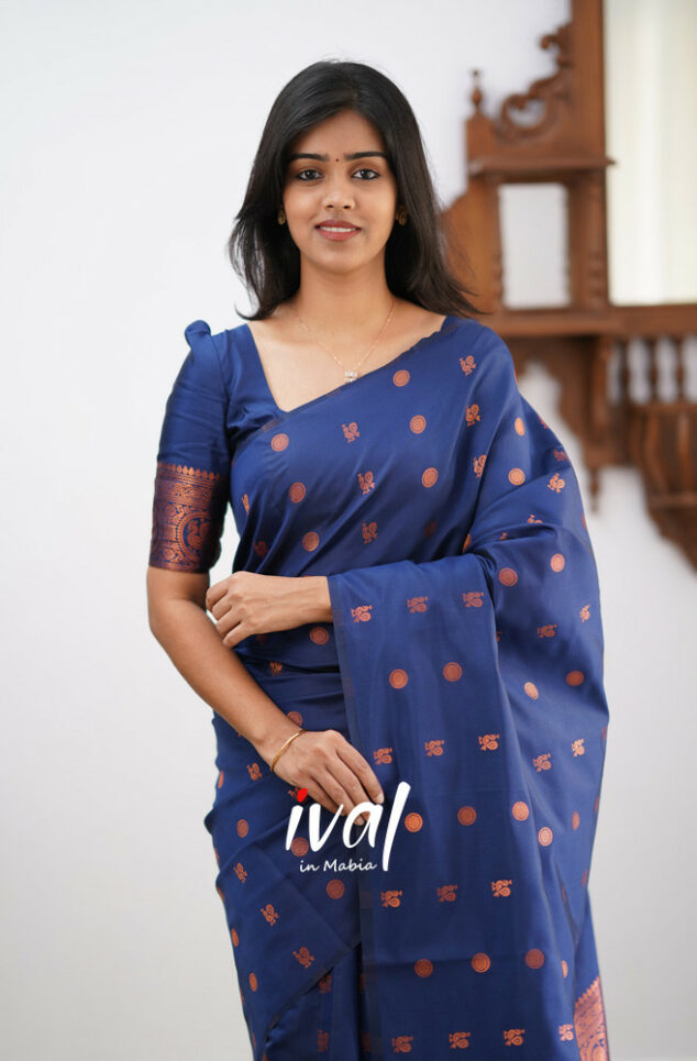 Elegant Blue Kanjivaram Saree with Matching Border – Perfect Festive Wear Choice