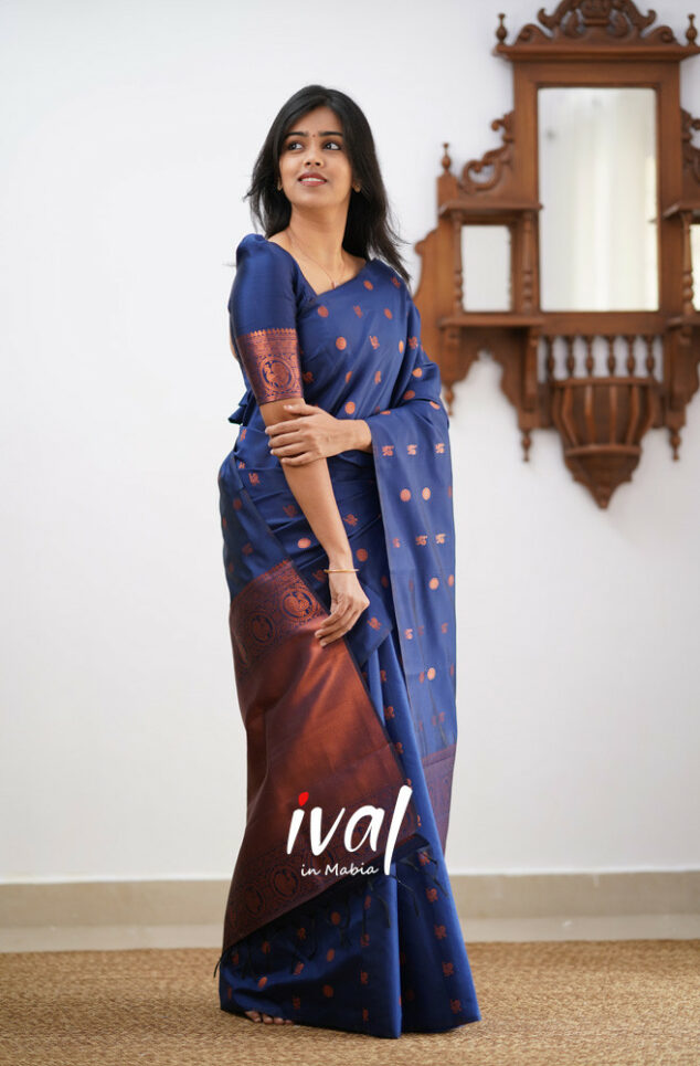 Elegant Blue Kanjivaram Saree with Matching Border – Perfect Festive Wear Choice