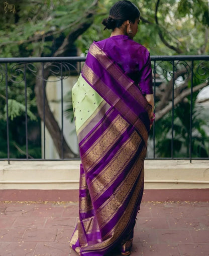 Graceful Pista Green Soft Silk Kanjivaram Saree with Complementary Matching Border Design