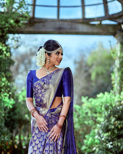 Radiate Royalty With Premium Kanjivaram Silk Saree in Elegant Blue