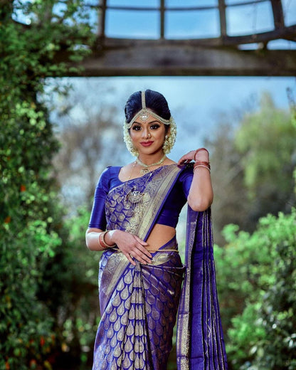 Radiate Royalty With Premium Kanjivaram Silk Saree in Elegant Blue