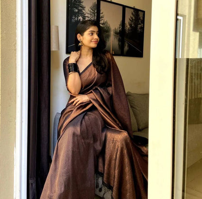 Luxury in Black: Perfect Saree to Elevate Your Style