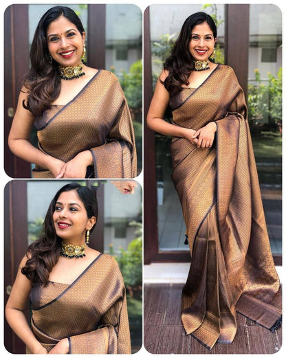 Rich Black and Brown Silk Saree with Matching Border Design