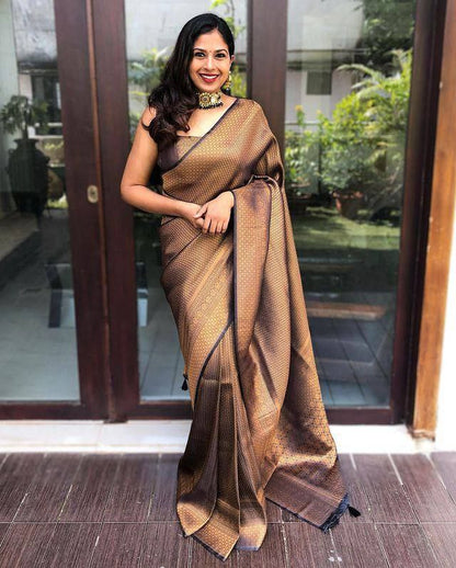 Rich Black and Brown Silk Saree with Matching Border Design