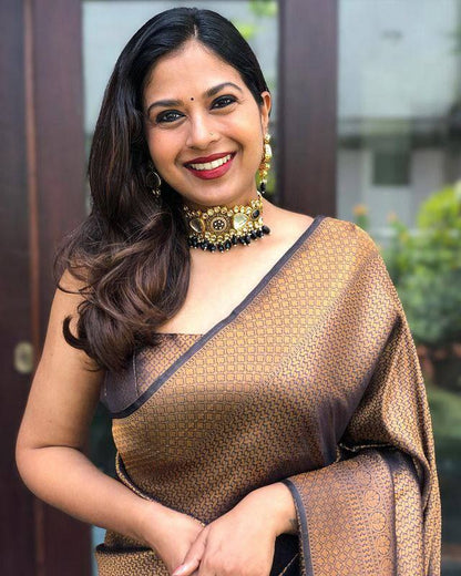 Rich Black and Brown Silk Saree with Matching Border Design