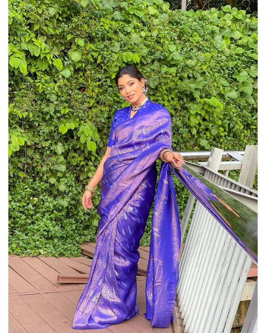 Unmatched Elegance: Blue Kanjivaram Saree with Stunning Borders