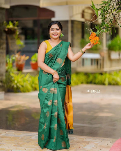 Elegant Rama Kanjivaram Saree in Soft Silk with Contrasting Matching Border